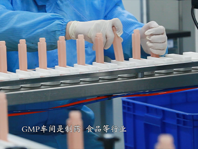 业务介绍 | GMP车间